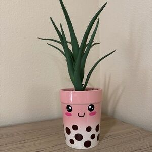 Boba 🧋 house plant 🪴